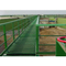 Handrail and Fencing
